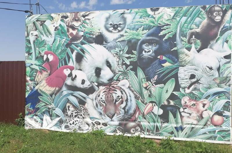 Изображение Изображение гостиницы &quot;Комплекс домиков «Jungle Park»&quot; #2 #2