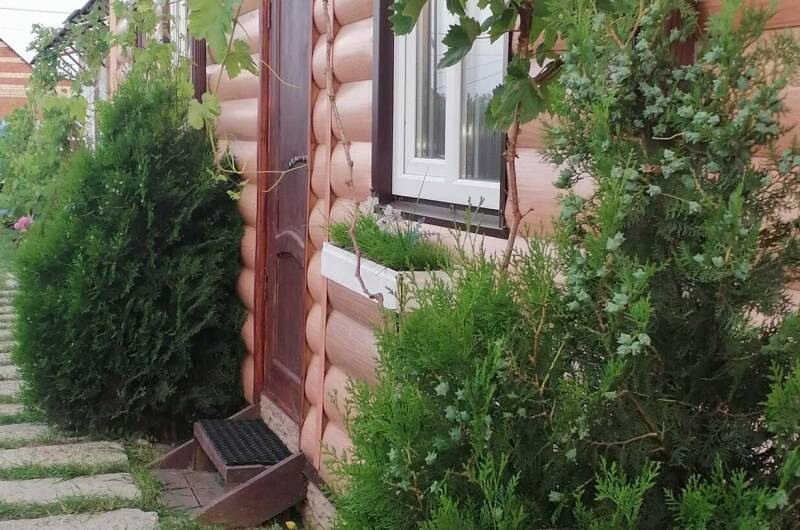 Изображение Изображение отеля / гостиницы "Комплекс домиков «Jungle Park»" #10 #8