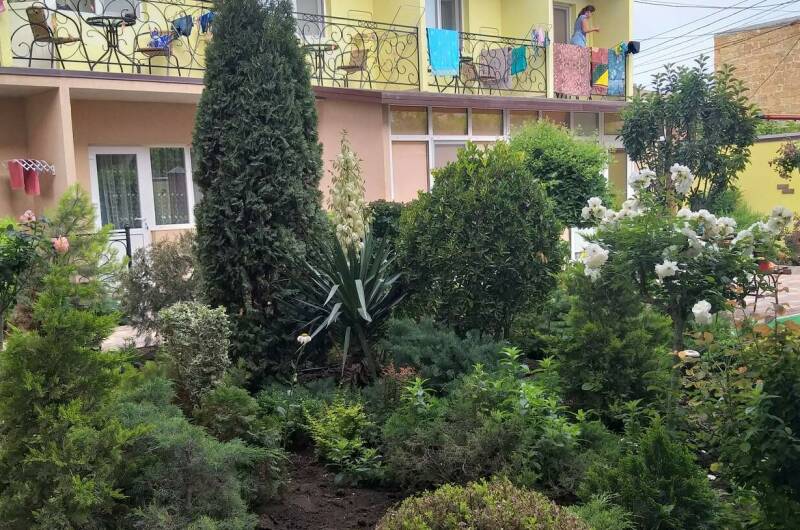 Изображение Изображение гостиницы &quot;Гостевой дом «Орхидея»&quot; #3 #3