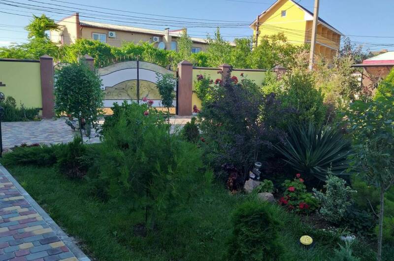 Изображение Изображение гостиницы &quot;Гостевой дом «Орхидея»&quot; #8 #8