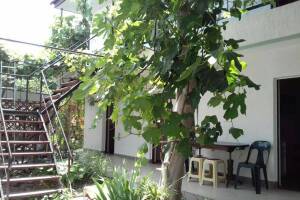 Изображение Гостевой дом «Na Baglikova 22a» #6