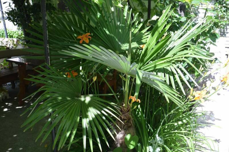 Изображение Изображение гостиницы &quot;Гостевой дом «Na Baglikova 22a»&quot; #4 #4