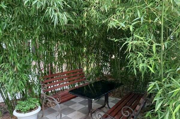 Изображение Изображение гостиницы &quot;Гостевой дом «Берег Крыма»&quot; #3 #3