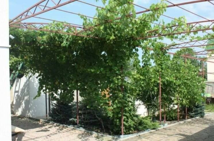 Изображение Изображение отеля / гостиницы "Гостевой дом «Николас»" #10 #8