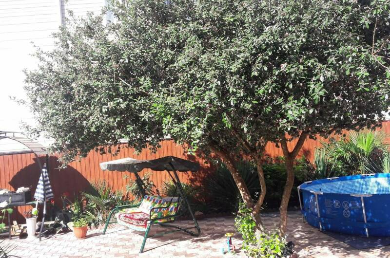 Изображение Изображение гостиницы "Домик для гостей на Богдана Хмельницкого" #4 #4