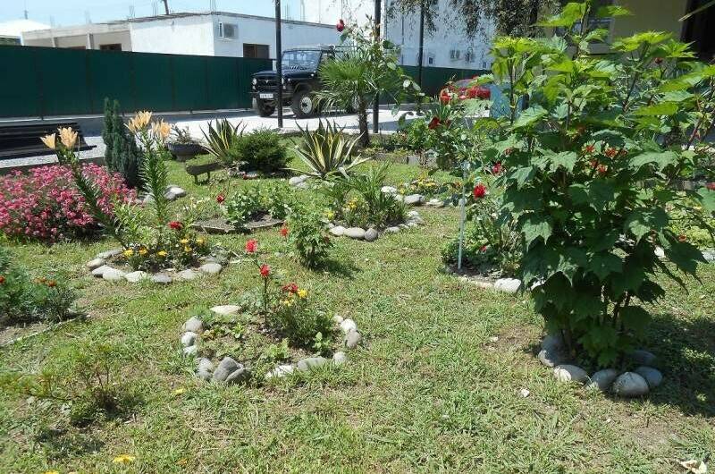 Изображение Изображение гостиницы &quot;Частный сектор «У Анжелы»&quot; #2 #2