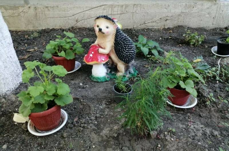 Изображение Изображение гостиницы &quot;Гостевой дом «У Татьяны»&quot; #3 #3