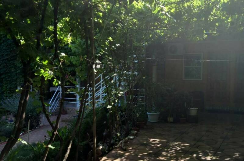 Изображение Изображение гостиницы &quot;Гостевой дом «Домашний рай»&quot; #3 #3