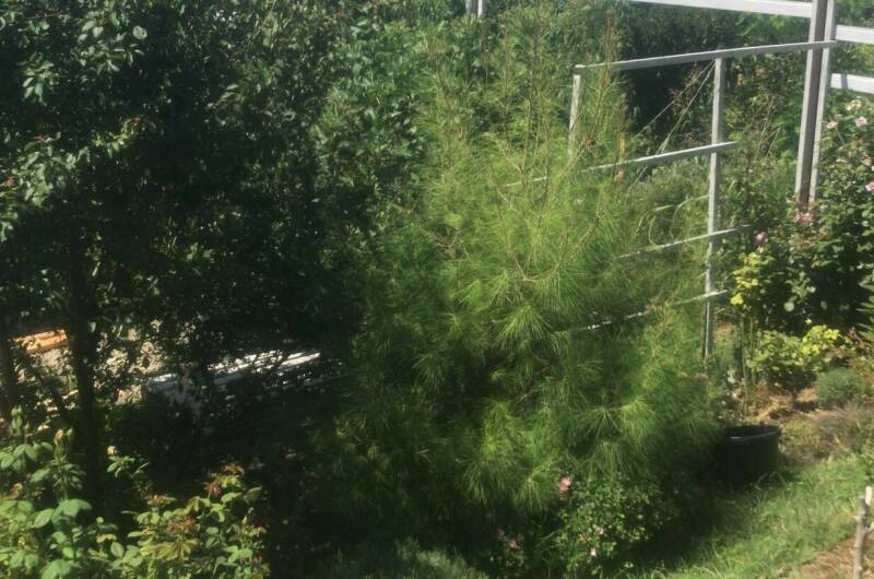 Изображение Изображение отеля / гостиницы "Дом «Villa de rose»" #10 #8