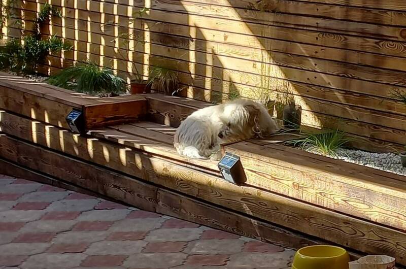 Изображение Изображение гостиницы &quot;Частный сектор «Домовенок»&quot; #4 #4