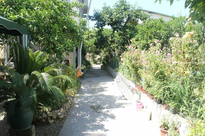 Изображение Изображение гостиницы "Частный сектор «Эрика»" #2 #2