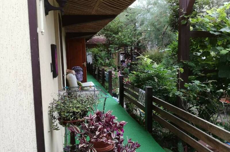 Изображение Изображение гостиницы "Гостевой дом «Аквамарин Ультра»" #5 #5