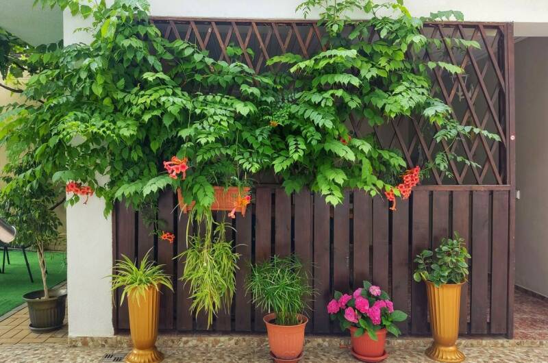 Изображение Изображение отеля / гостиницы "Гостевой дом «Одиссей»" #11 #9