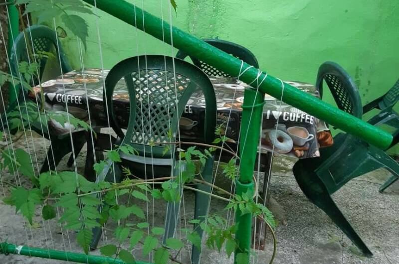 Изображение Изображение гостиницы &quot;Частный дом «У Натэллы»&quot; #8 #8