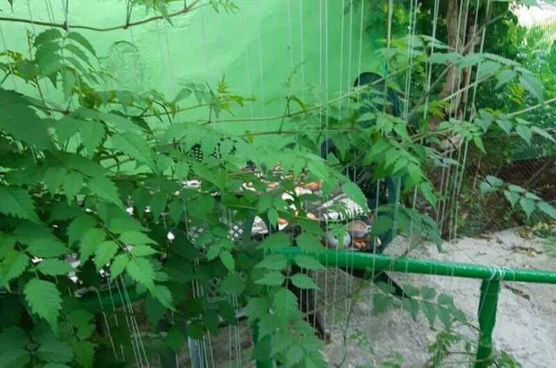 Изображение Изображение отеля / гостиницы "Частный дом «У Натэллы»" #10 #8