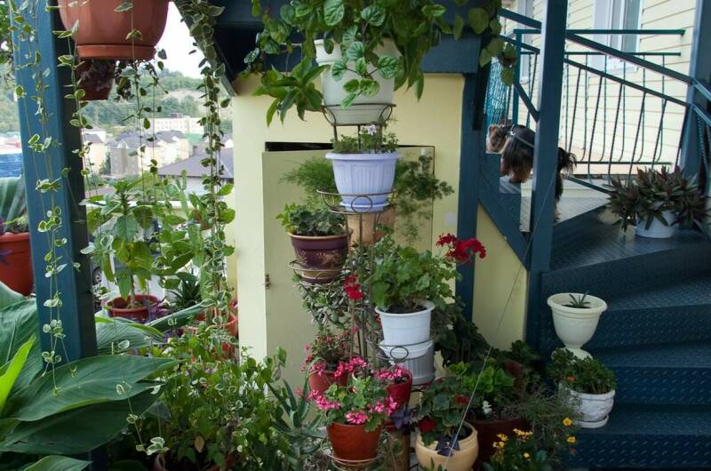 Изображение Изображение отеля / гостиницы "Мини-гостиница «Рамэлия»" #10 #8