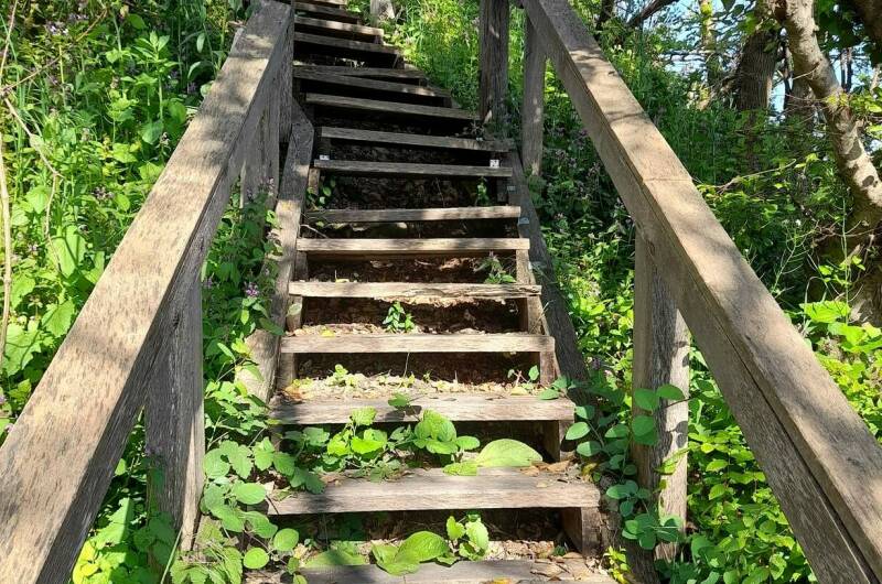 Изображение Изображение гостиницы &quot;База отдыха «Камелия GOLD»&quot; #5 #5