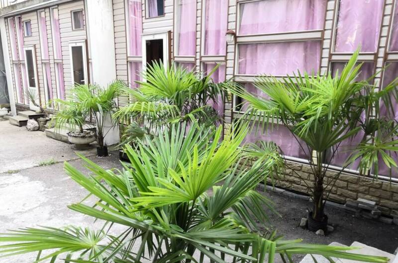 Изображение Изображение гостиницы "Гостевой дом «ТИС-Комфорт»" #3 #3