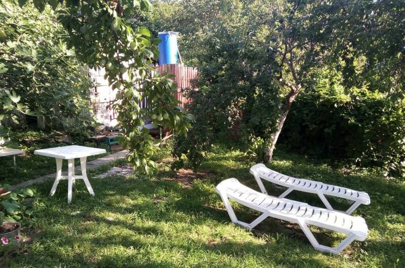 Изображение Изображение квартиры "Бабушкин дом в зеленом саду" #1 #1