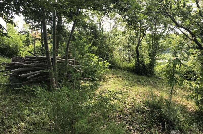 Изображение Изображение отеля / гостиницы "Гостевой дом «Mangal-de-Tish»" #11 #9