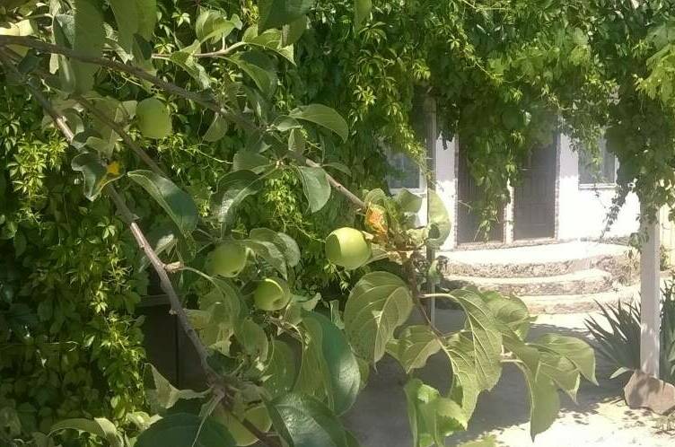 Изображение Изображение квартиры / апартамента "Двухкомнатный дом" #10 #8