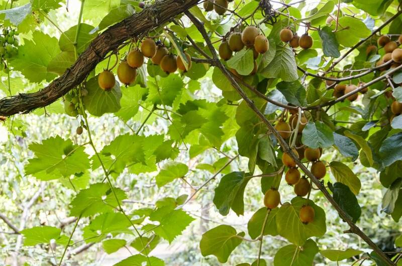 Изображение Изображение гостиницы "Гостевой дом на Глазунова 34" #3 #3