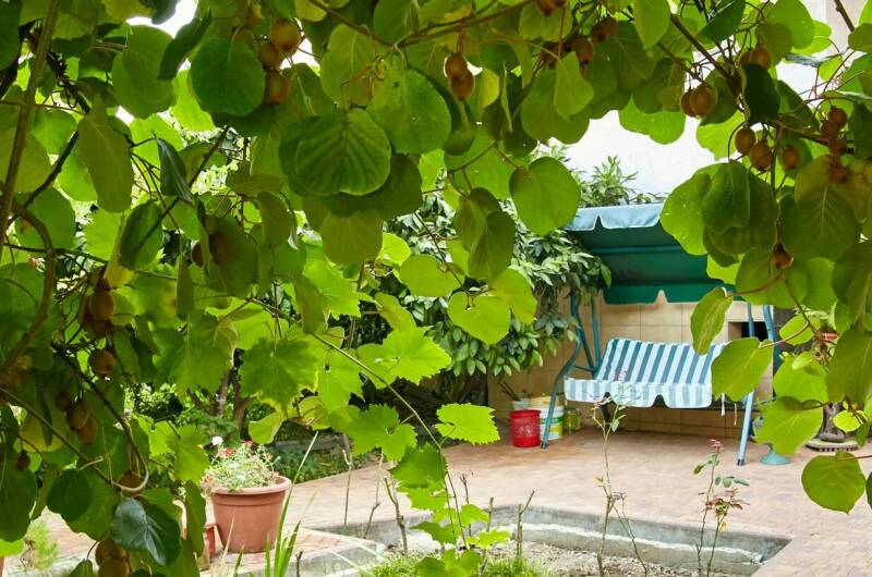 Изображение Изображение гостиницы "Гостевой дом на Глазунова 34" #5 #5