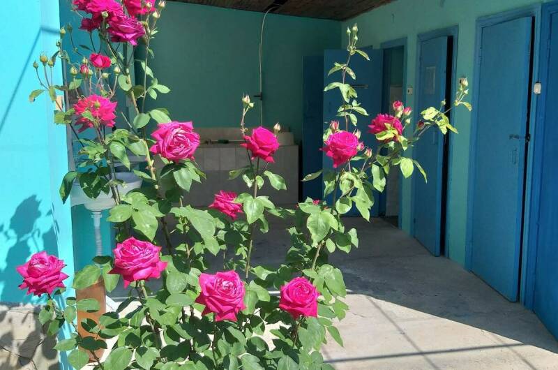 Изображение Изображение гостиницы "Частное домовладение «Глухой 5»" #5 #5