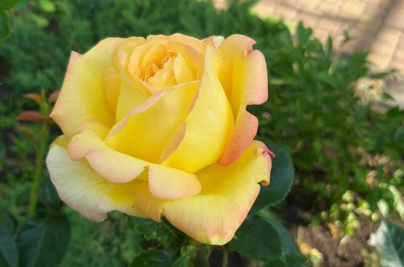 Изображение Изображение отеля / гостиницы "Частное домовладение «Глухой 5»" #10 #8