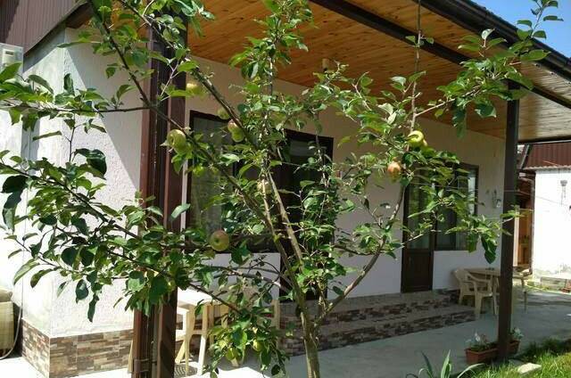 Изображение Изображение гостиницы "Гостевой дом «У Анжелики»" #5 #5