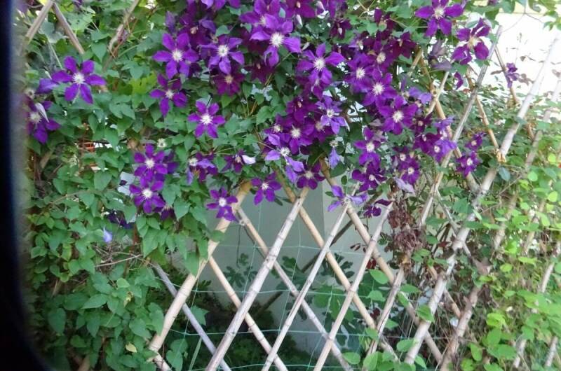 Изображение Изображение гостиницы &quot;Гостевой дом «Постоялый двор»&quot; #5 #5