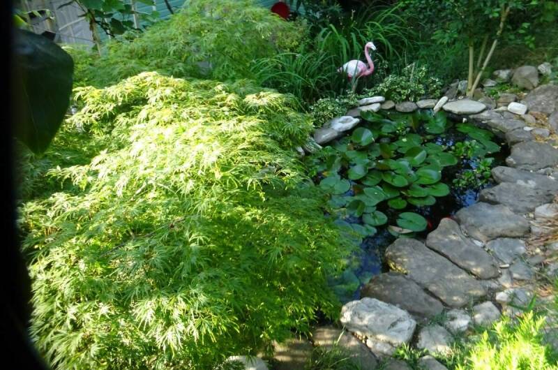 Изображение Изображение отеля / гостиницы "Гостевой дом «Постоялый двор»" #10 #8