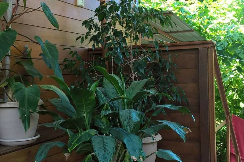 Изображение Изображение гостиницы &quot;Гостевой дом «Моя Марусичка»&quot; #2 #2