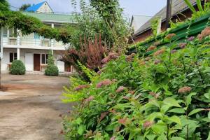 Изображение Гостевой дом «Киви» #5