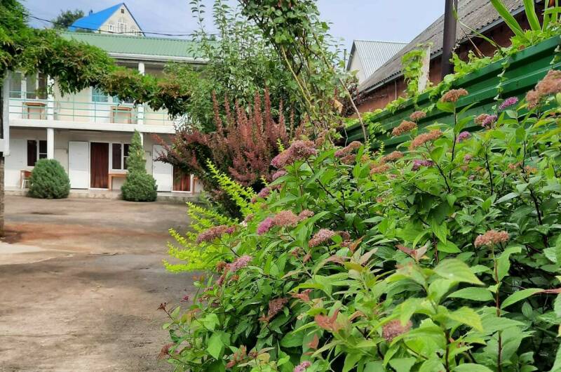 Изображение Изображение гостиницы &quot;Гостевой дом «Киви»&quot; #1 #1