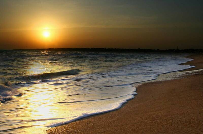 Изображение Изображение гостиницы &quot;Гостевой дом «Звездный берег Орловка»&quot; #5 #5