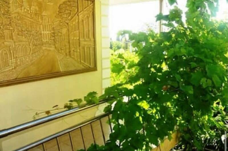 Изображение Изображение гостиницы "Гостевой дом «У Алины»" #3 #3