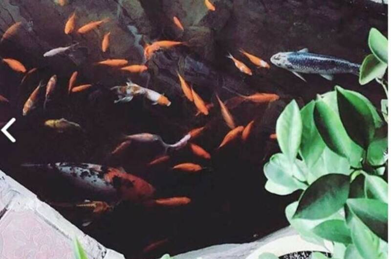 Изображение Изображение гостиницы "Гостевой дом «У Алины»" #7 #7