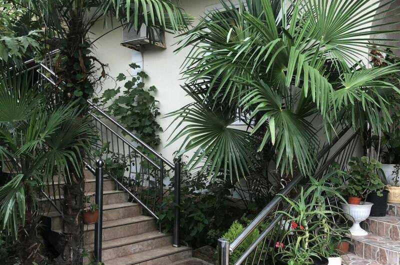 Изображение Изображение отеля / гостиницы "Гостевой дом «У Алины»" #10 #8