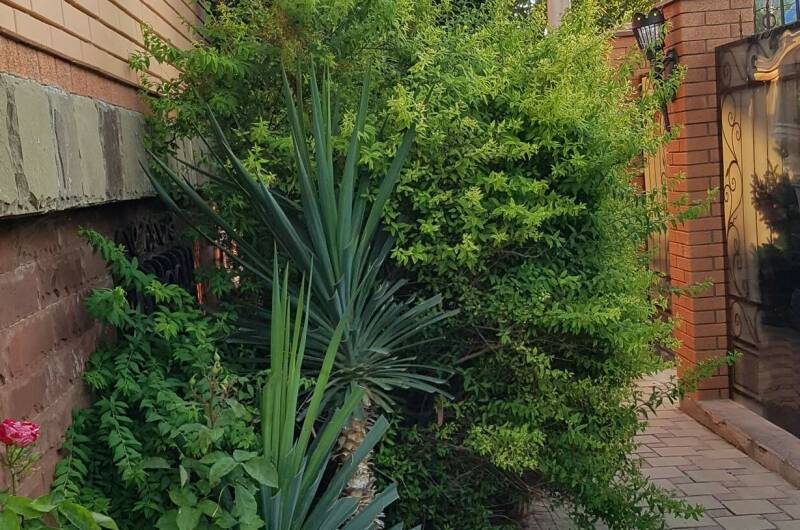 Изображение Изображение гостиницы &quot;Гостевой дом «На Лозовой 2»&quot; #3 #3