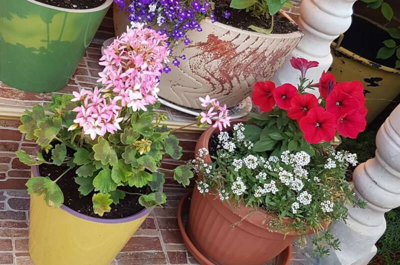 Изображение Изображение отеля / гостиницы "Гостевой дом «На Лозовой 2»" #10 #8