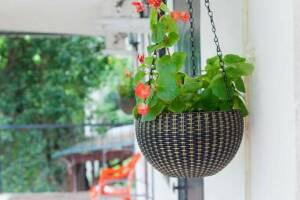 Изображение отеля / гостиницы "Гостевой дом «Луна»"