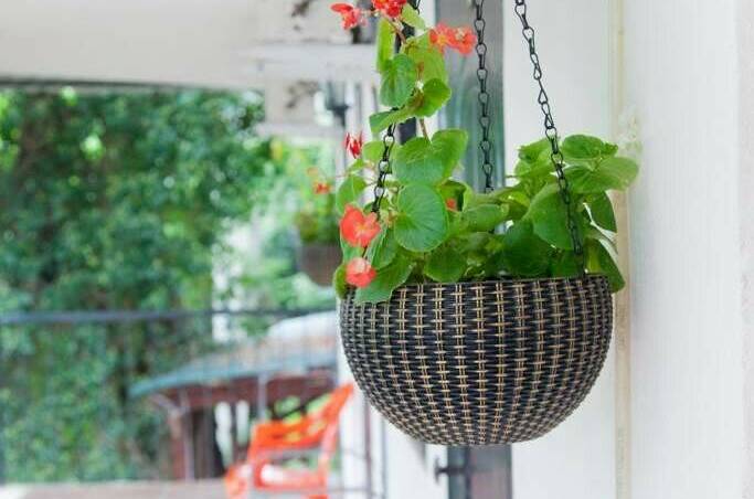 Изображение Изображение гостиницы &quot;Гостевой дом «Луна»&quot; #1 #1