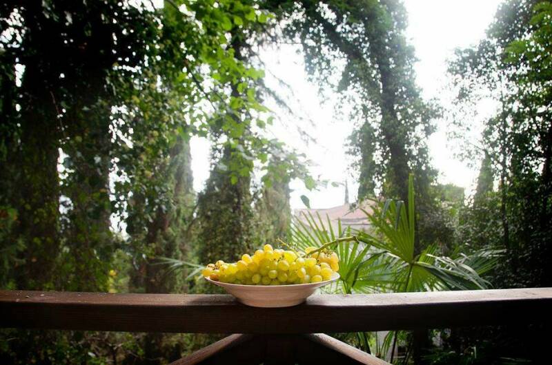 Изображение Изображение отеля / гостиницы "Гостевой дом «Луна»" #10 #8