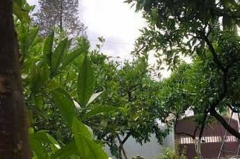 Изображение Изображение гостиницы "Гостевой дом «Бариния»" #5 #5