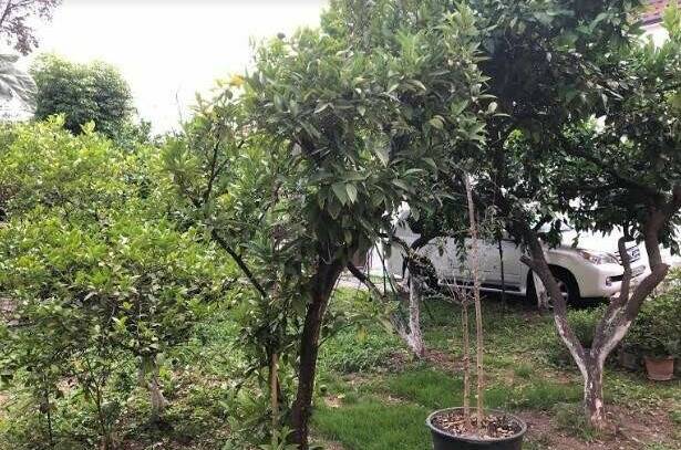 Изображение Изображение отеля / гостиницы "Гостевой дом «Бариния»" #11 #9