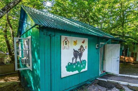 Изображение Изображение отеля / гостиницы "База отдыха «Экспресс»" #11 #9