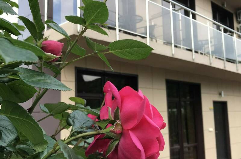 Изображение Изображение отеля / гостиницы "Частный дом «Шоколад»" #10 #8