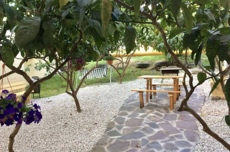 Изображение Изображение гостиницы "Гостевой дом «Пальмовый двор»" #3 #3