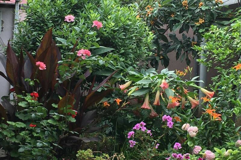 Изображение Изображение гостиницы &quot;Гостевой дом «Бриз»&quot; #5 #5